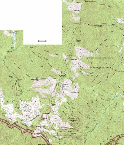 Mount Mitchell, NC (Topo Map)