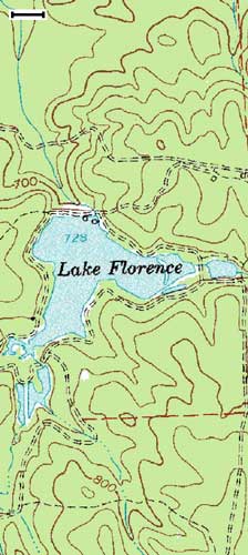 Lake Florence, GA (Topo Map)