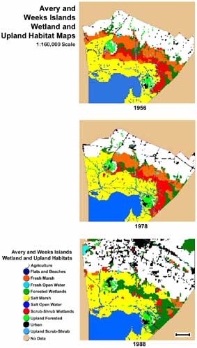 Avery and Weeks Islands wetland and upland habitat maps