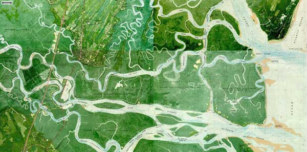 Altamaha River Wetlands, GA orthoquad mosaic