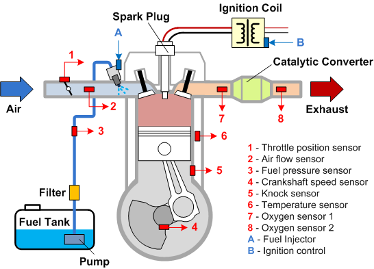 Schematic view