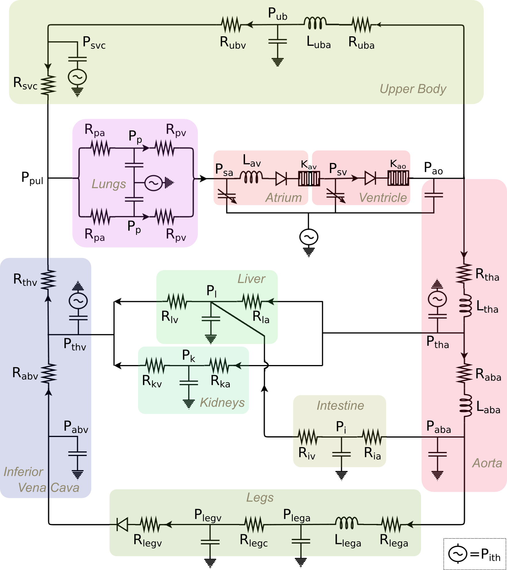 Lumped-parameter circuit physiology model describing the single-ventricle circulation
