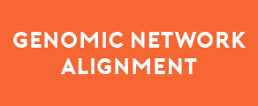 Genomic Network Alignment