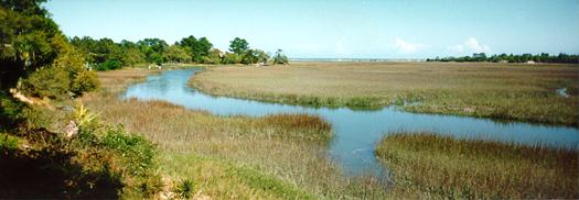 tidal creek image
