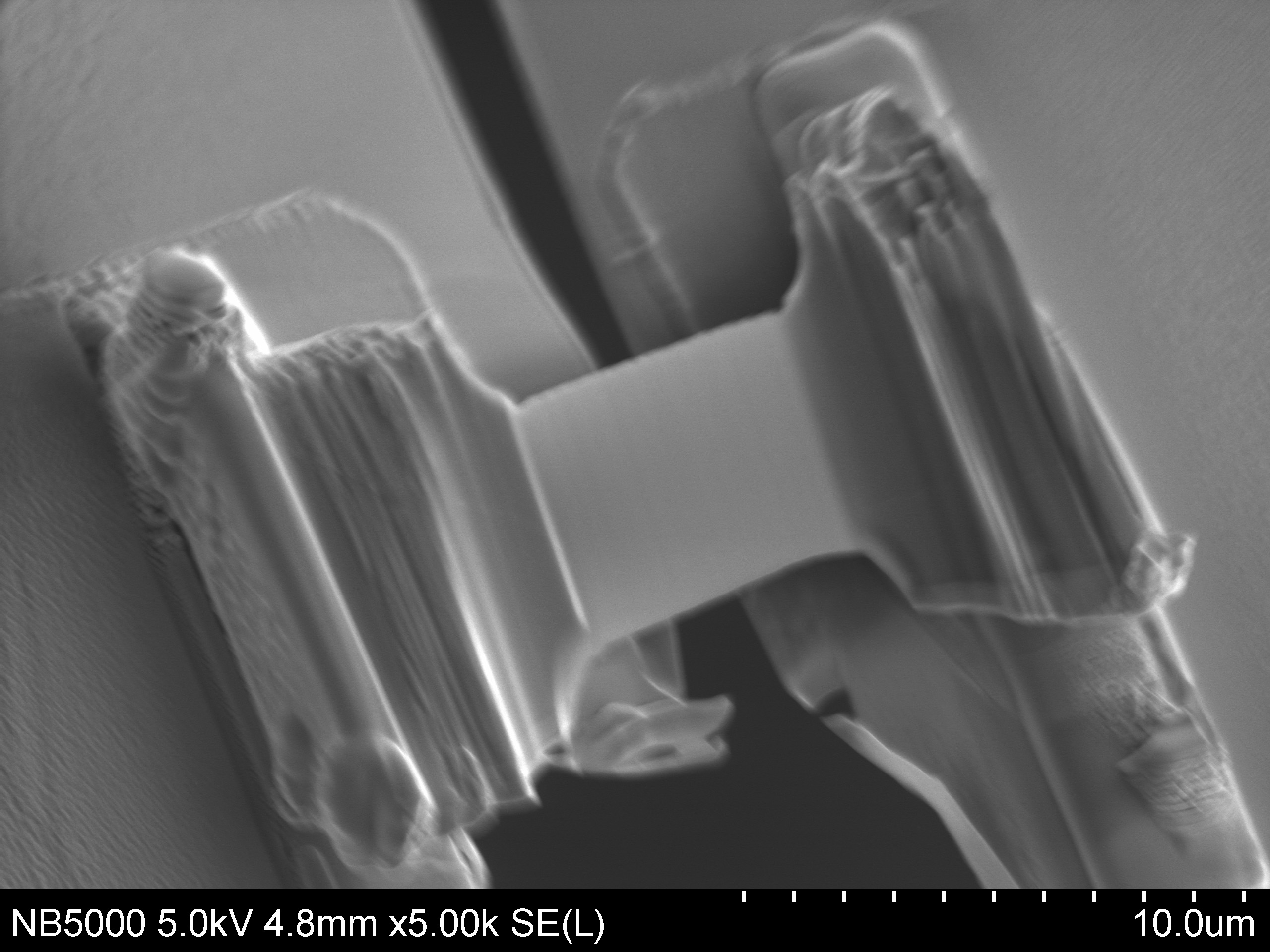 TEM lamella on electrically biasing chip