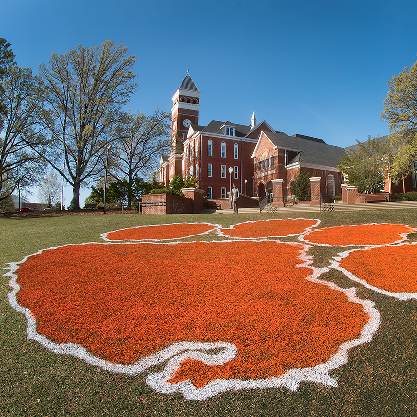 Paw painted on Bowman Field