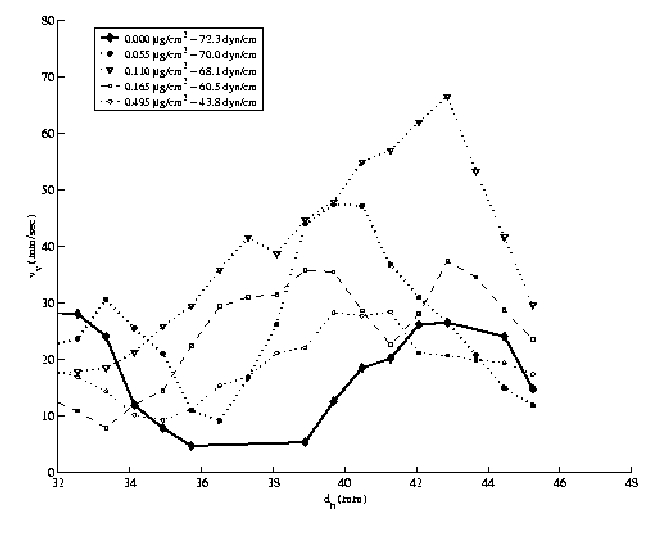 Oleyl Peak
	40 Plot (from Nathan's Thesis